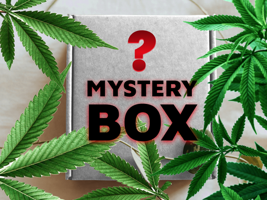 HHC Shop24 HHC Mystery Box - Überraschungsbox HHC Shop24