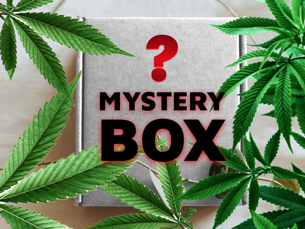 HHC Shop24 HHC Mystery Box - Überraschungsbox HHC Shop24