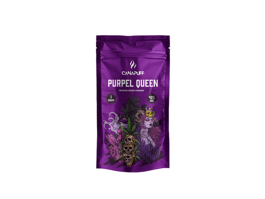HHC Shop24 HHC-Blüten Purple Queen 40% von Canapuff Canalogy s.r.o.